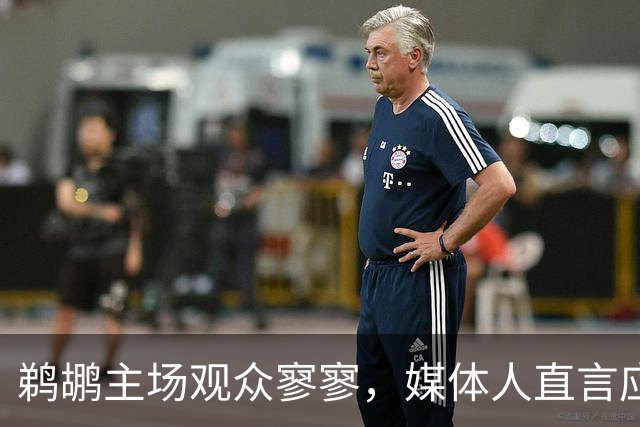 鹈鹕主场观众寥寥，媒体人直言应重置球队定位